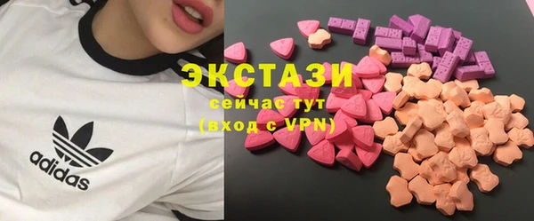 дживик Надым