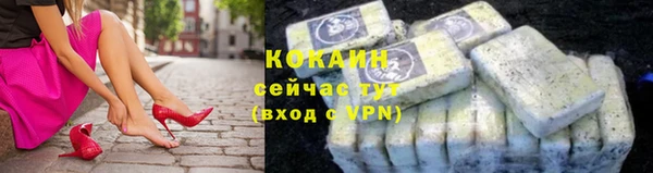 дживик Надым