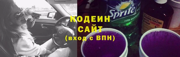 дживик Надым