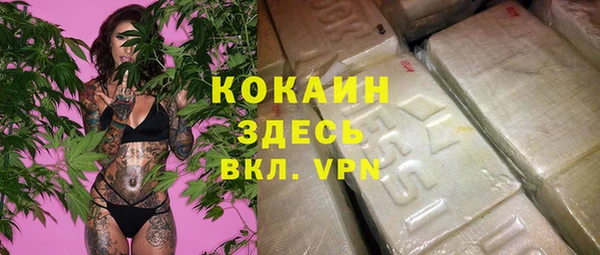 дживик Надым