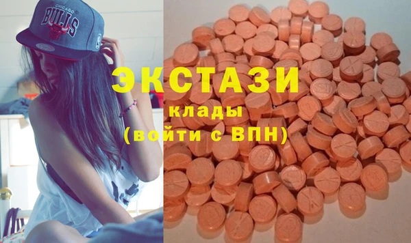 дживик Надым