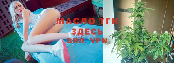 дживик Надым