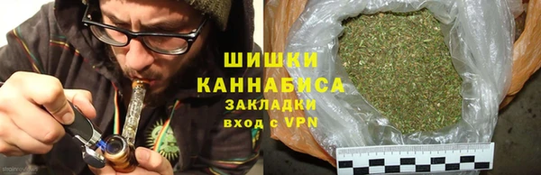 дживик Надым