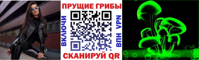 купить наркотики цена  Артём  Галлюциногенные грибы Cubensis 